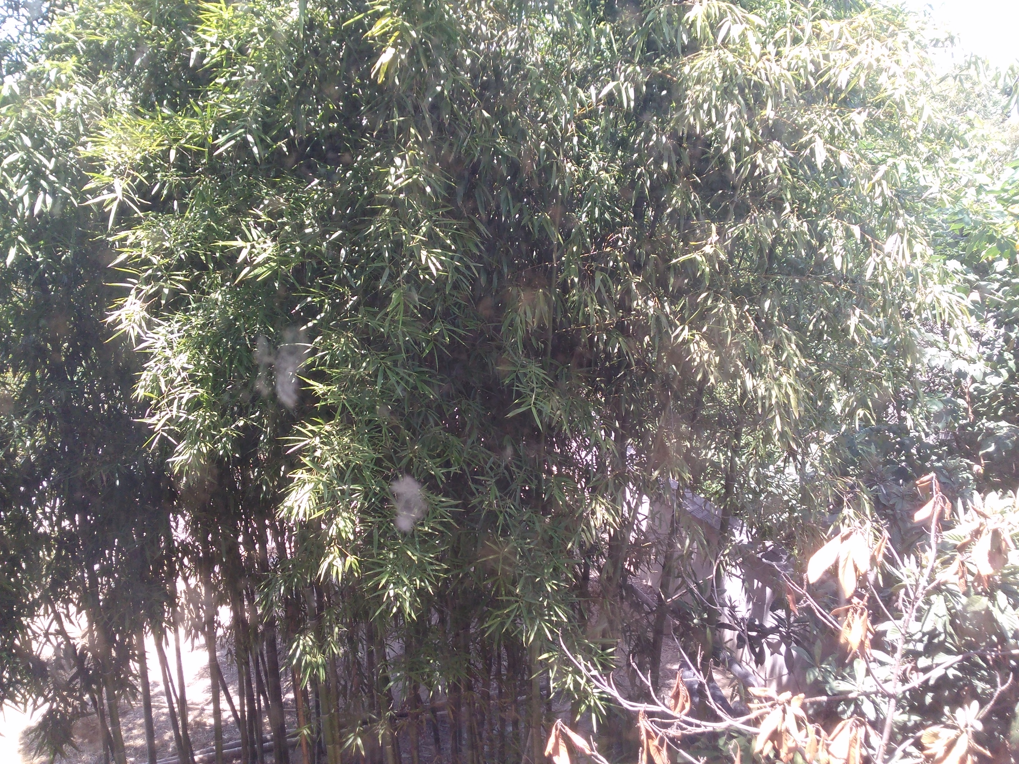 IMG_20250830_120605.jpg