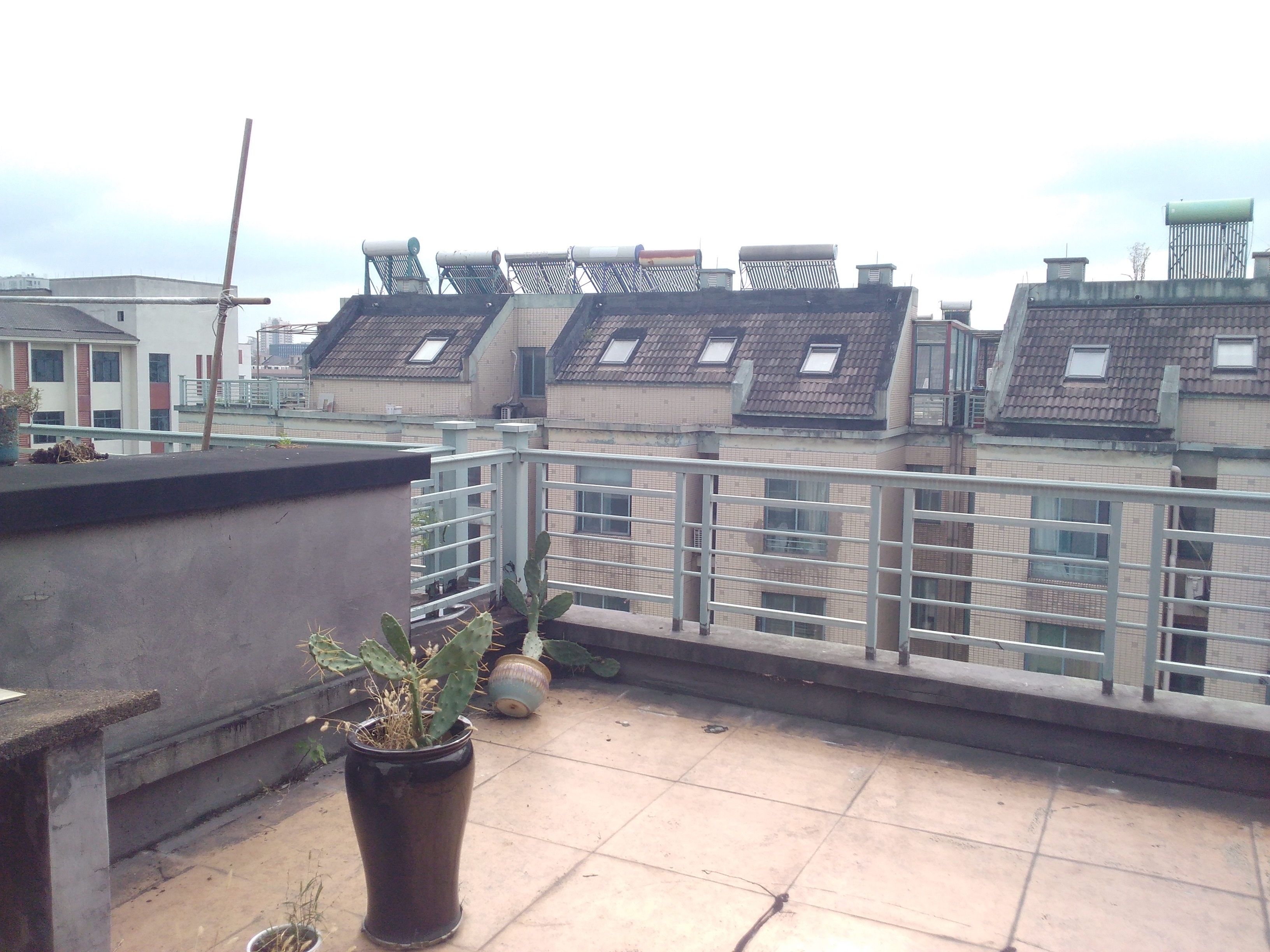 IMG_20251019_101001.jpg IMG_20251019_101001.jpg