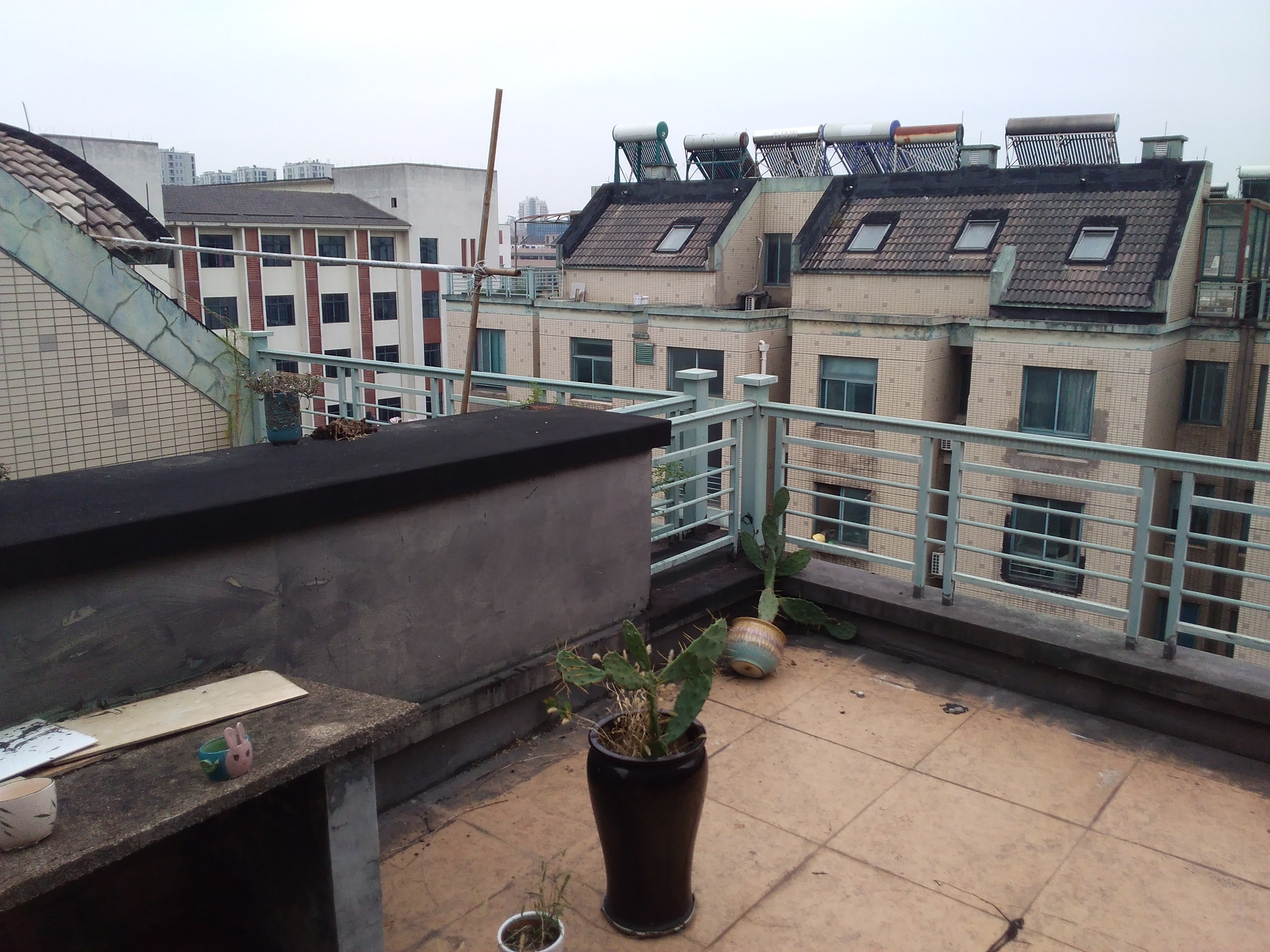 IMG_20251026_065743.jpg IMG_20251026_065743.jpg