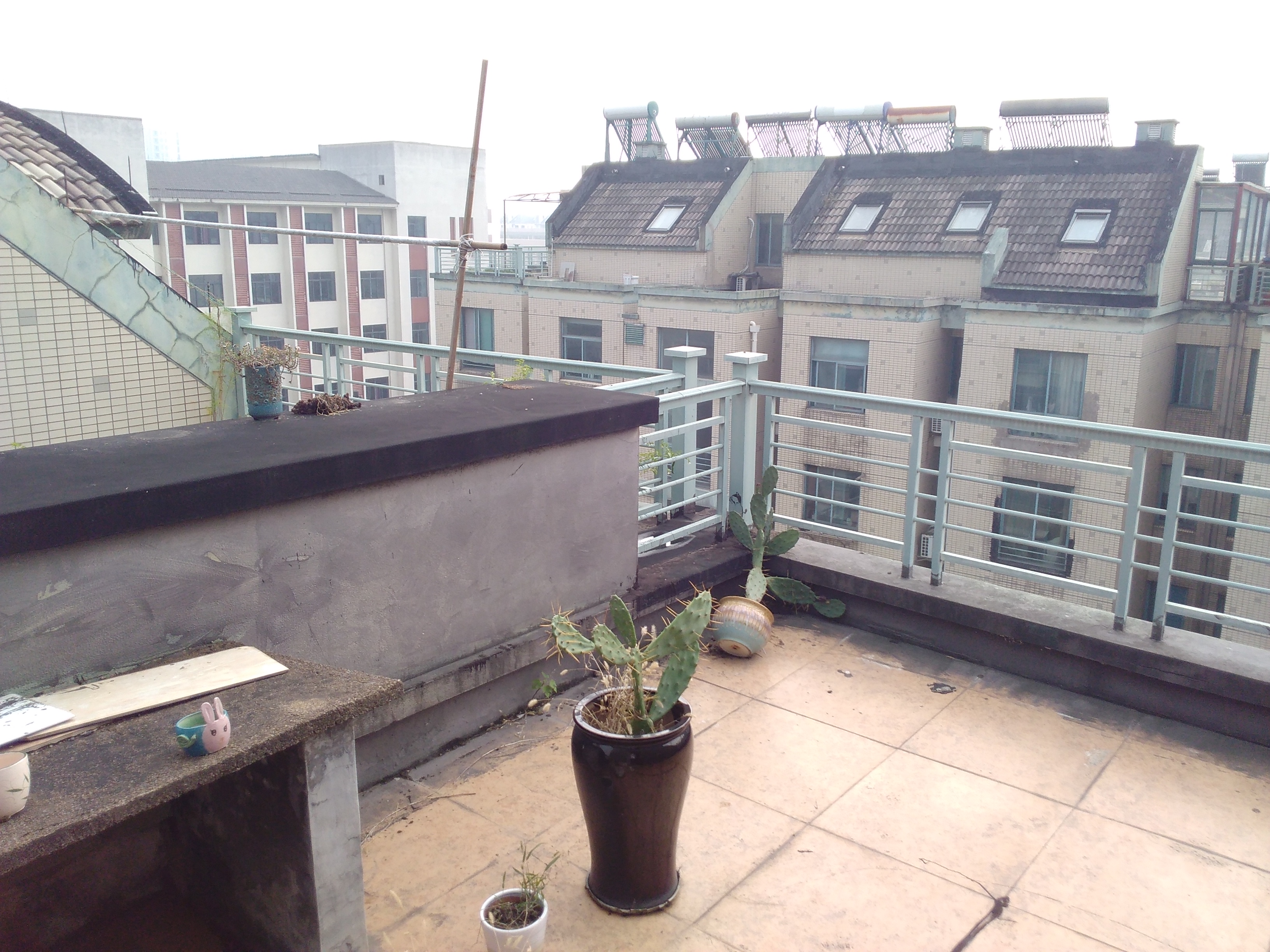 IMG_20251101_100231.jpg IMG_20251101_100231.jpg