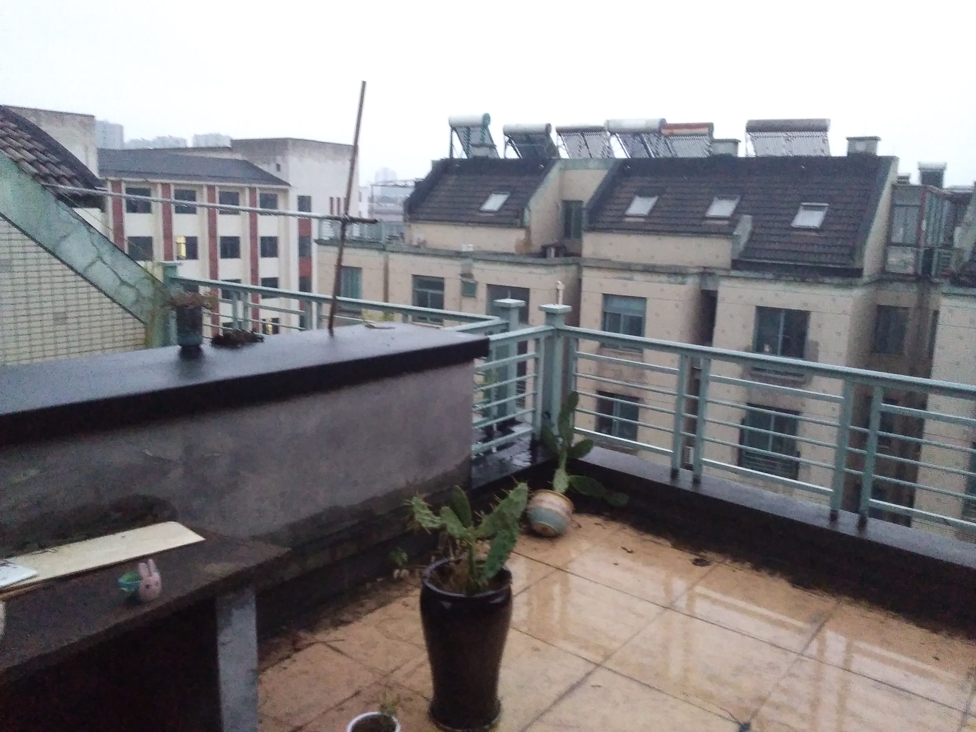 IMG_20251107_170542.jpg IMG_20251107_170542.jpg