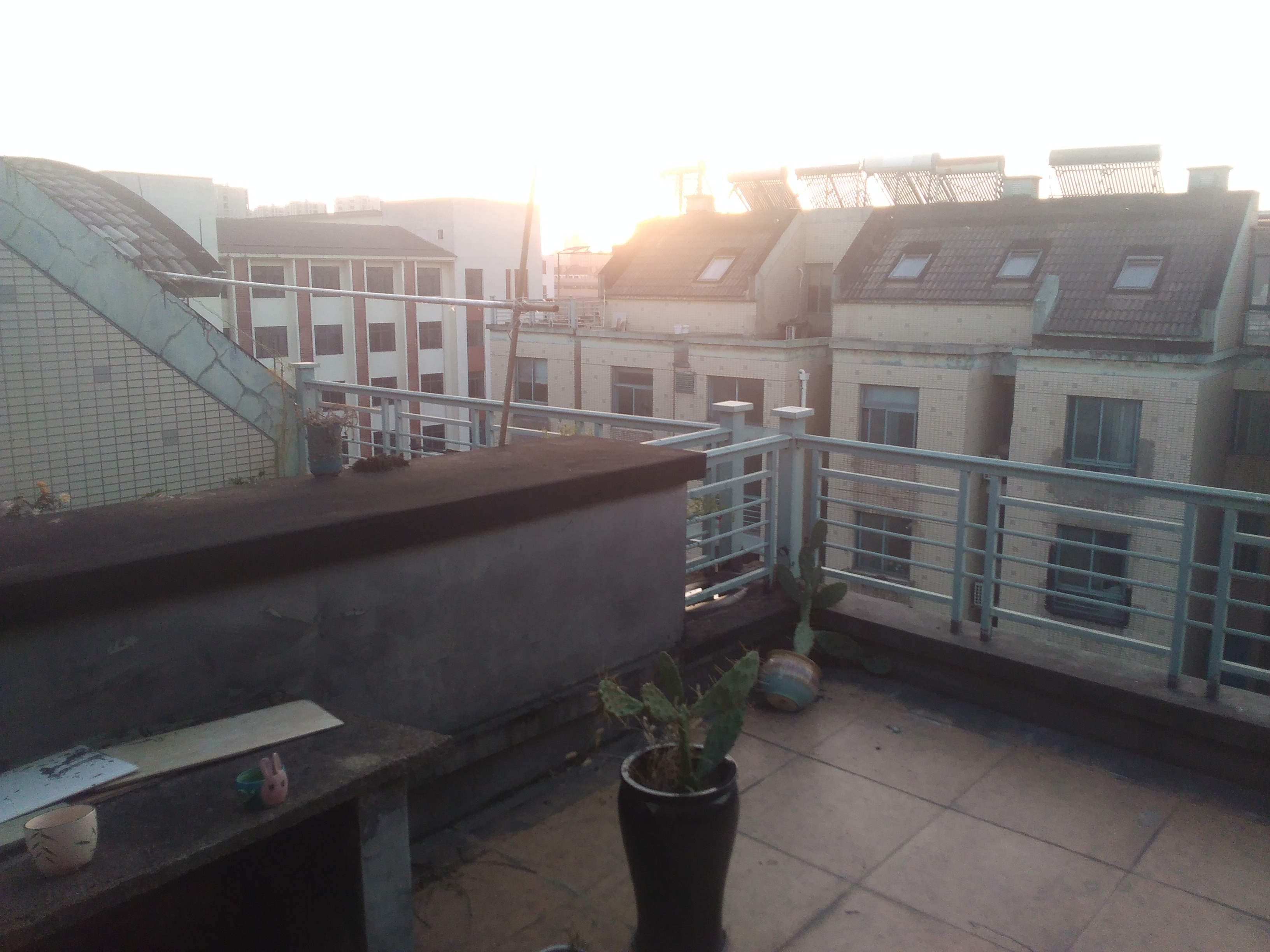 IMG_20251214_070314.jpg IMG_20251214_070314.jpg