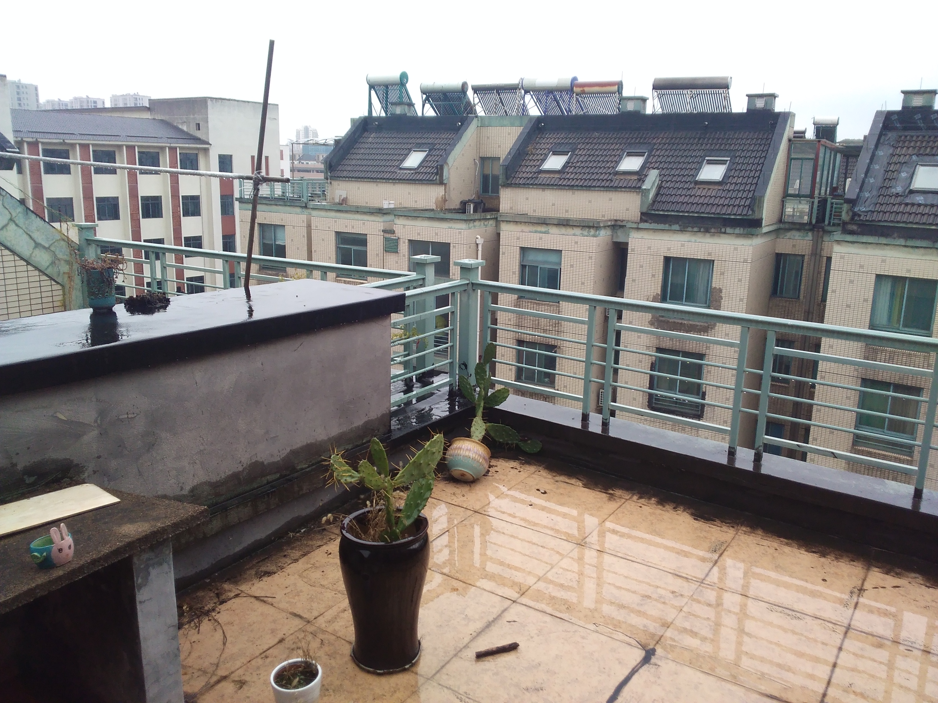 IMG_20260101_081629.jpg IMG_20260101_081629.jpg